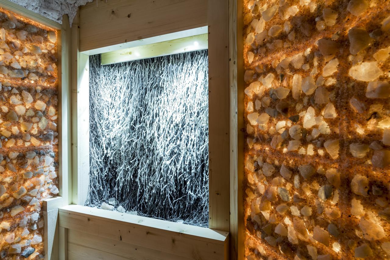 Willa Wiosenna Hotell Ozarow Mazowiecki Exteriör bild